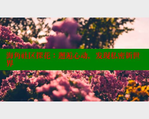 海角社区探花：邂逅心动，发现私密新世界