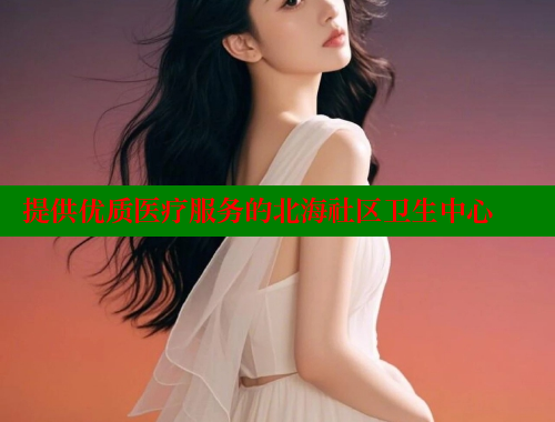 提供优质医疗服务的北海社区卫生中心