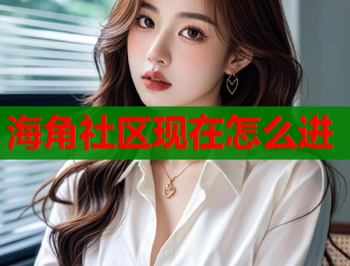海角社区现在怎么进