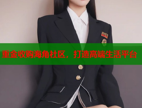 重金收购海角社区，打造高端生活平台