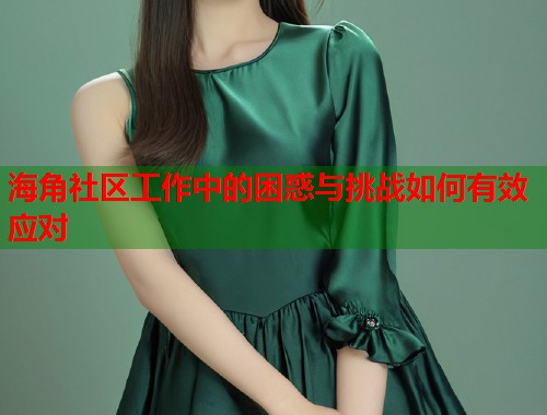 海角社区工作中的困惑与挑战如何有效应对