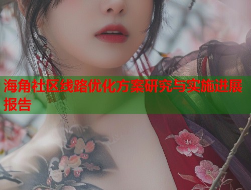 海角社区线路优化方案研究与实施进展报告
