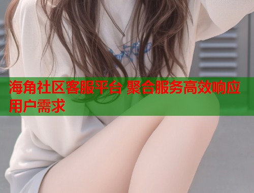 海角社区客服平台 聚合服务高效响应用户需求